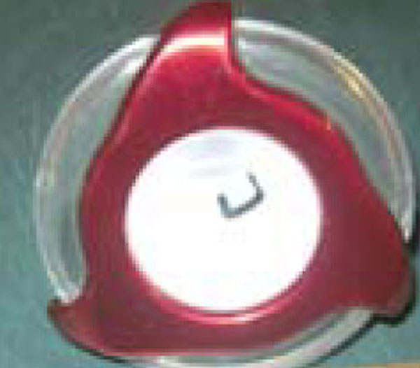 Quick Spa Parts - Hot Tub Jet Insert - Stainless, 3" [Med] Clear Red Directional 