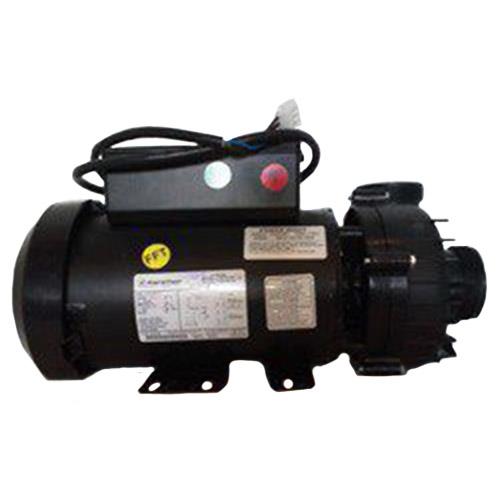 Quick Spa Parts - Hot Tub ORDER PUM22000565  PUMP 2.5 HP, 2 SPEED, 56 FRAME, EUROPEAN, 220 VOLTS,  50HZ